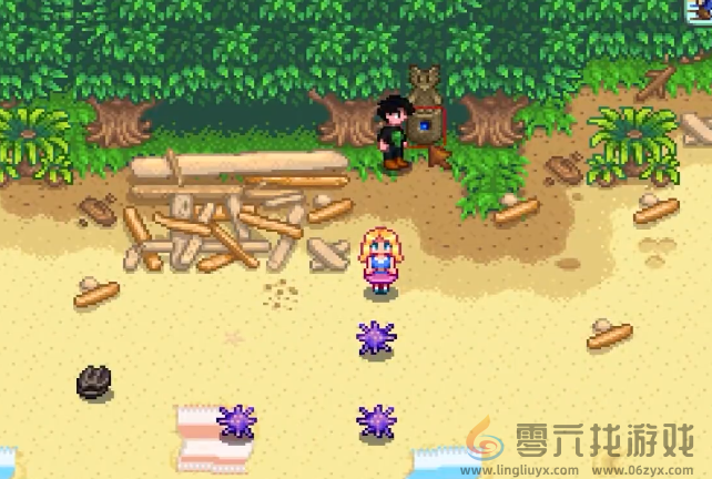 星露谷物语镇子南方的沙难位置(图3) 星露谷物语镇子南方的沙难位置(图3)