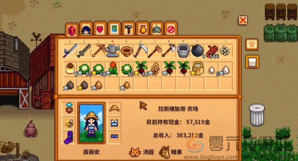 星露谷物语物品栏怎么增加(图5) 星露谷物语物品栏怎么增加(图5)