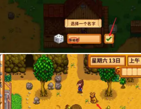 星露谷物语宠物获取攻略(图4) 星露谷物语宠物获取攻略(图4)