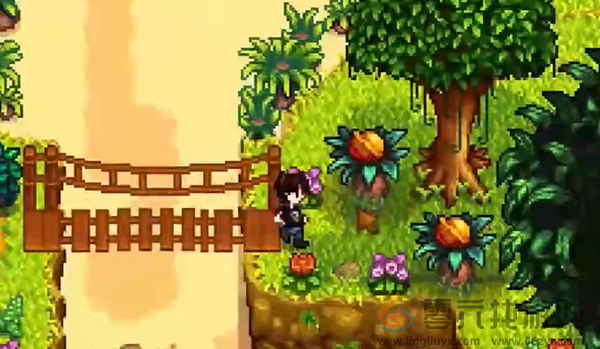 星露谷物语姜岛北部金核桃在哪(图9) 星露谷物语姜岛北部金核桃在哪(图9)